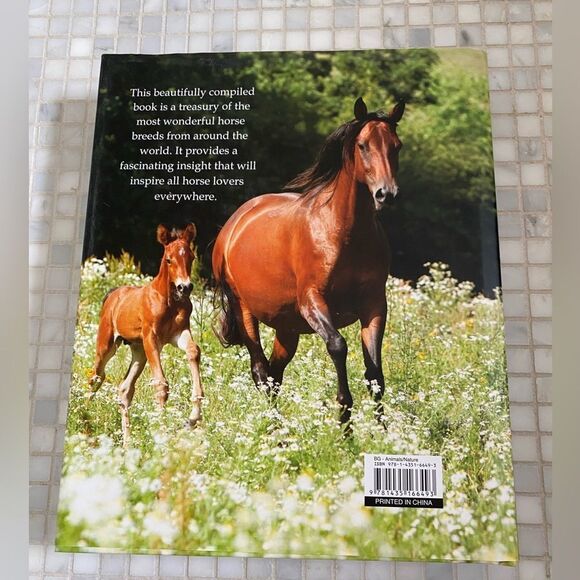 Beautiful Enchanting Horse Full Color Book 450 pages - Picture 4 of 10